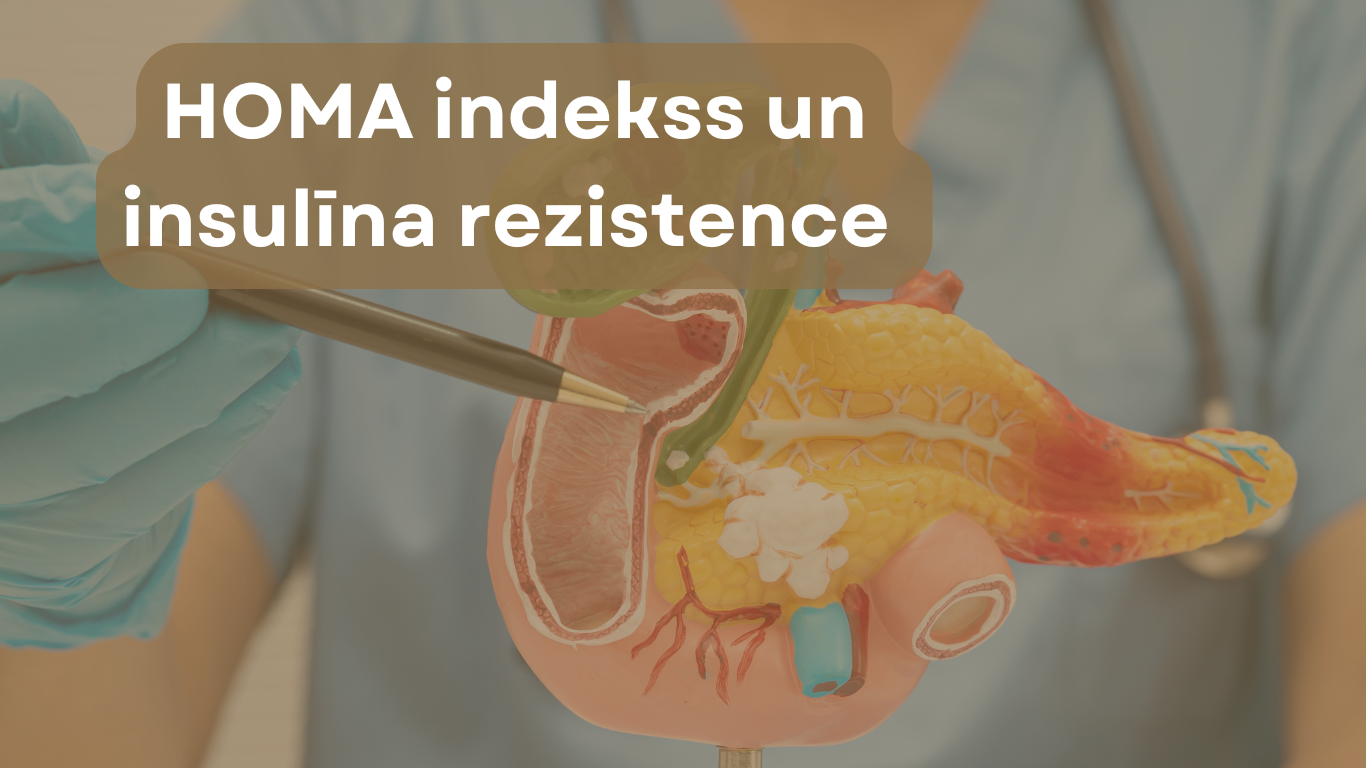Homa indekss un insulina rezistence